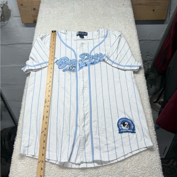 Big Dogs White and Blue Striped Jersey, button up jersey, size medium - Picture 1 of 6